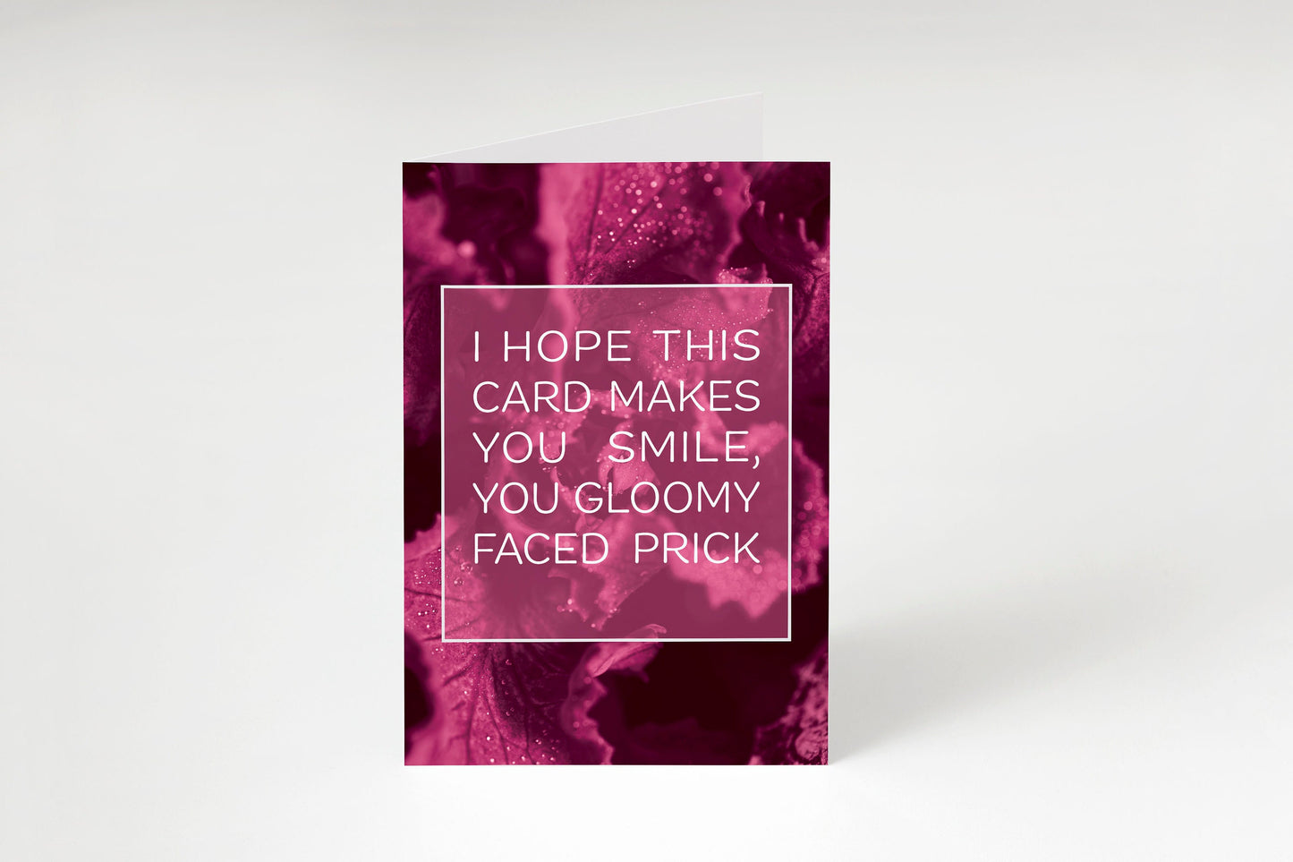 The Sweary Affirmation Shop - Sweary Affirmation Notecards - Pack of 4, Blank Greeting Card Set, Flower Art Cards, Just Because Cards, Funny Quotes and Insults